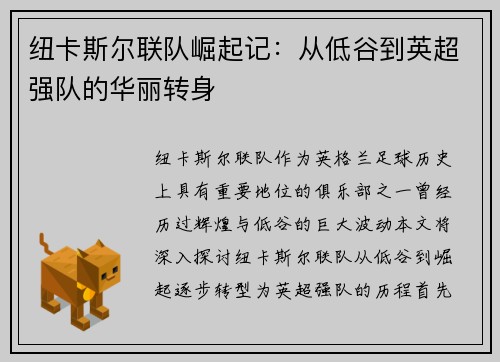 纽卡斯尔联队崛起记：从低谷到英超强队的华丽转身